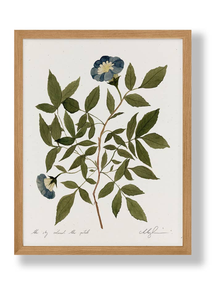 The Sky Colored The Petals for wholesale by Cocoshalom