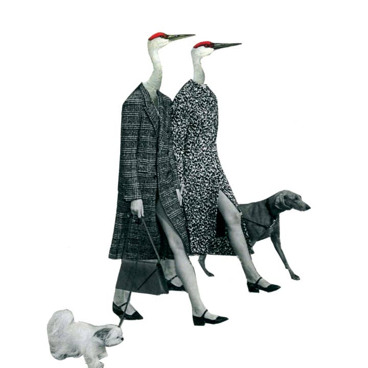 Walking The Dogs for wholesale by Rare Bird