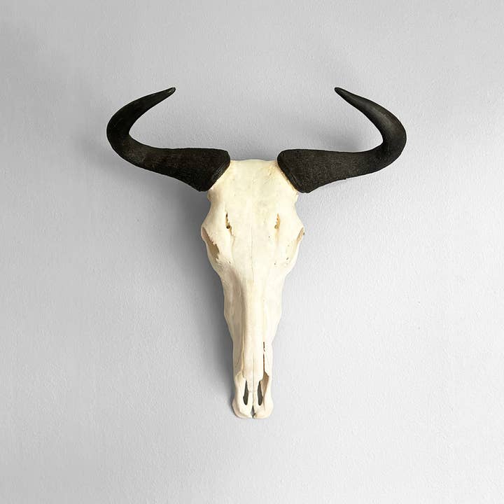 OUTPOST ORIGINAL - Wholesale Wall Accent - African Natural Wildebeest Horn - Full Skull