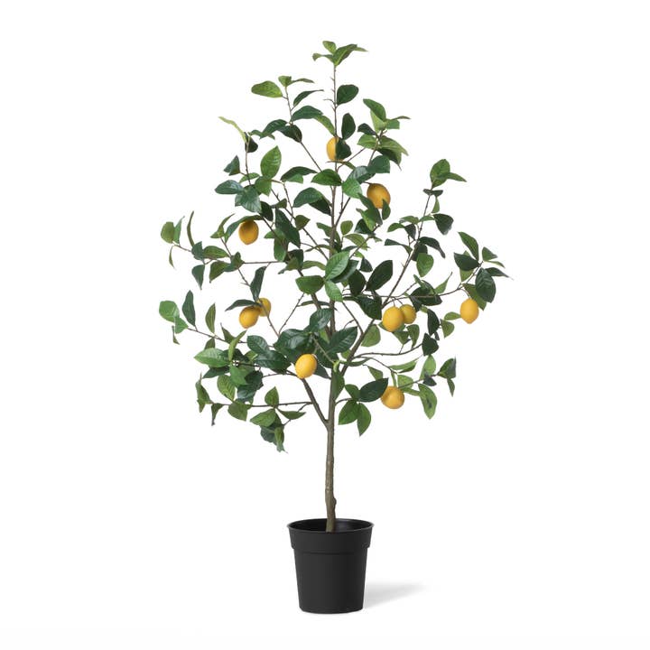 Park Hill Collection - Wholesale Artificial Plant - Lemon Tree in Plastic Pot1
