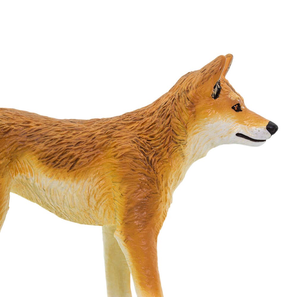Safari Ltd. - Wholesale Figurine Toy - Kids - Dingo - 2282292