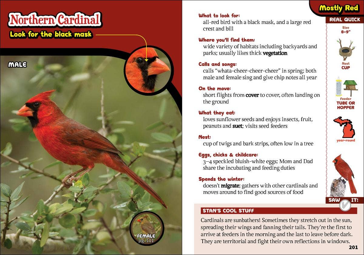 AdventureKEEN - Wholesale Nature & Outdoors - Kids' Guide to Birds of Michigan4