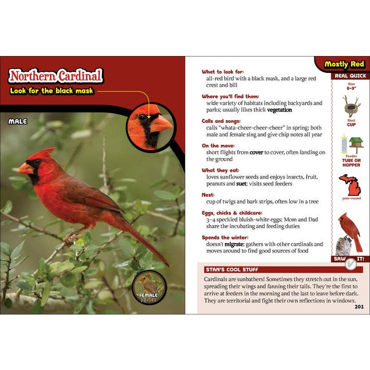 AdventureKEEN - Wholesale Nature & Outdoors - Kids' Guide to Birds of Michigan4