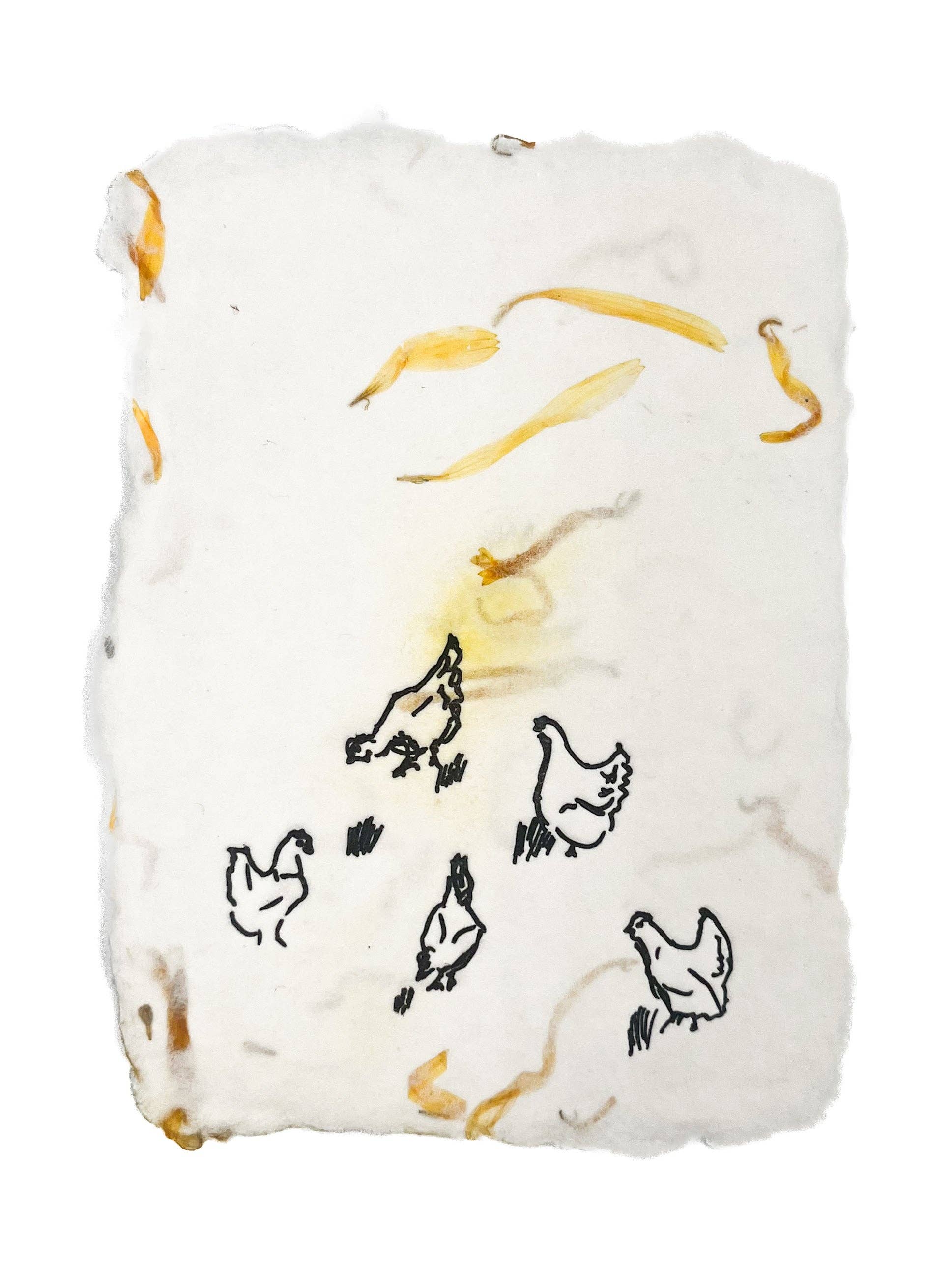 farmette – wholesale Everyday greeting card – backyard chickens1