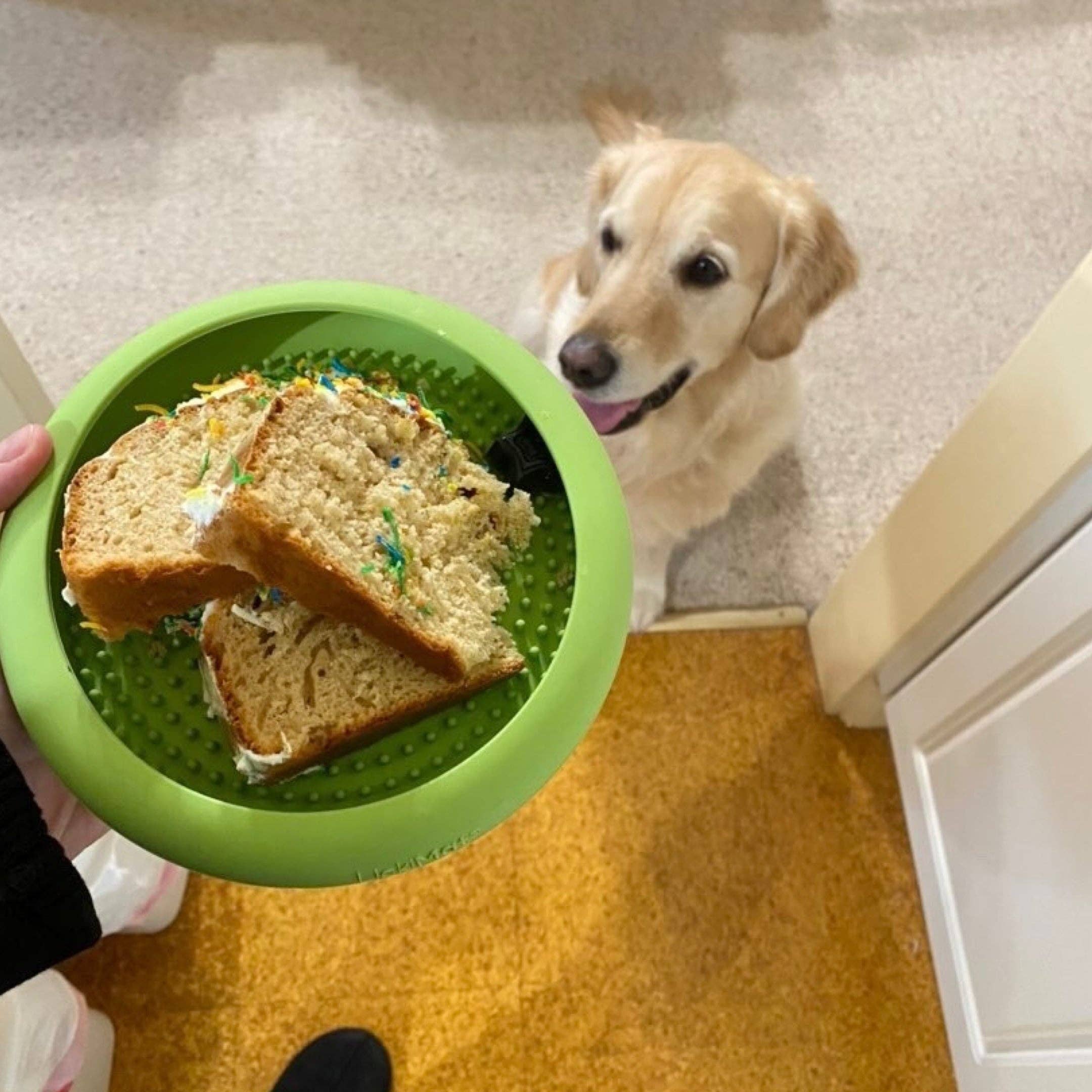 Rover Pet Products - Wholesale Pet treats – Dog - Pawty Cake3