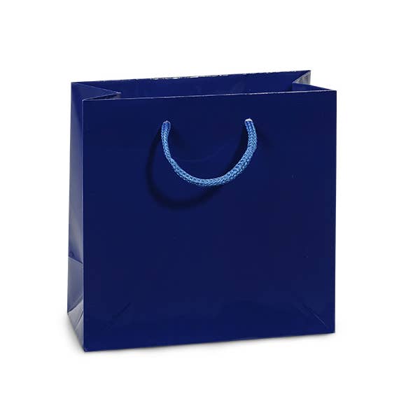 Nashville Wraps - Wholesale Gift Bag - Gloss Paper Rope Handle Gift Bags20