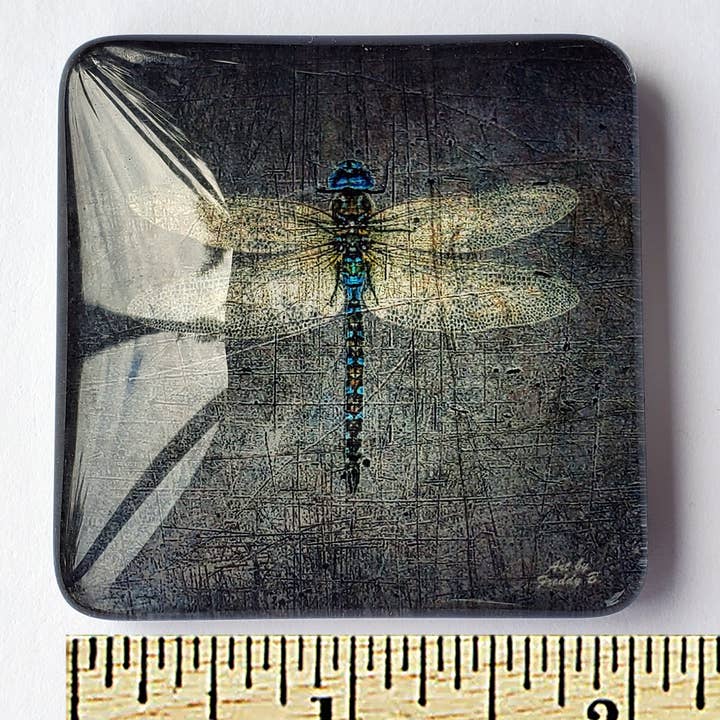 Art by Freddy B. - Wholesale Magnet - Set of 6 Acrylic Glass Magnets, The Dragonfly Collection6