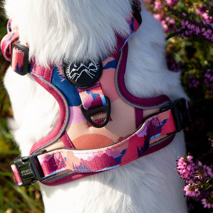 Apparel by Unleashed - Wholesale Tuig voor huisdieren - Hond - Sedona Skies Harnas2