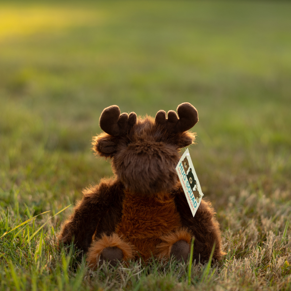 Soft Stuff Creations, Inc. - Wholesale Stuffed/Plush Toy - Kids & Baby - 11.5" Maple Moose, Soft Plush Toy - Hug Squad Collection0