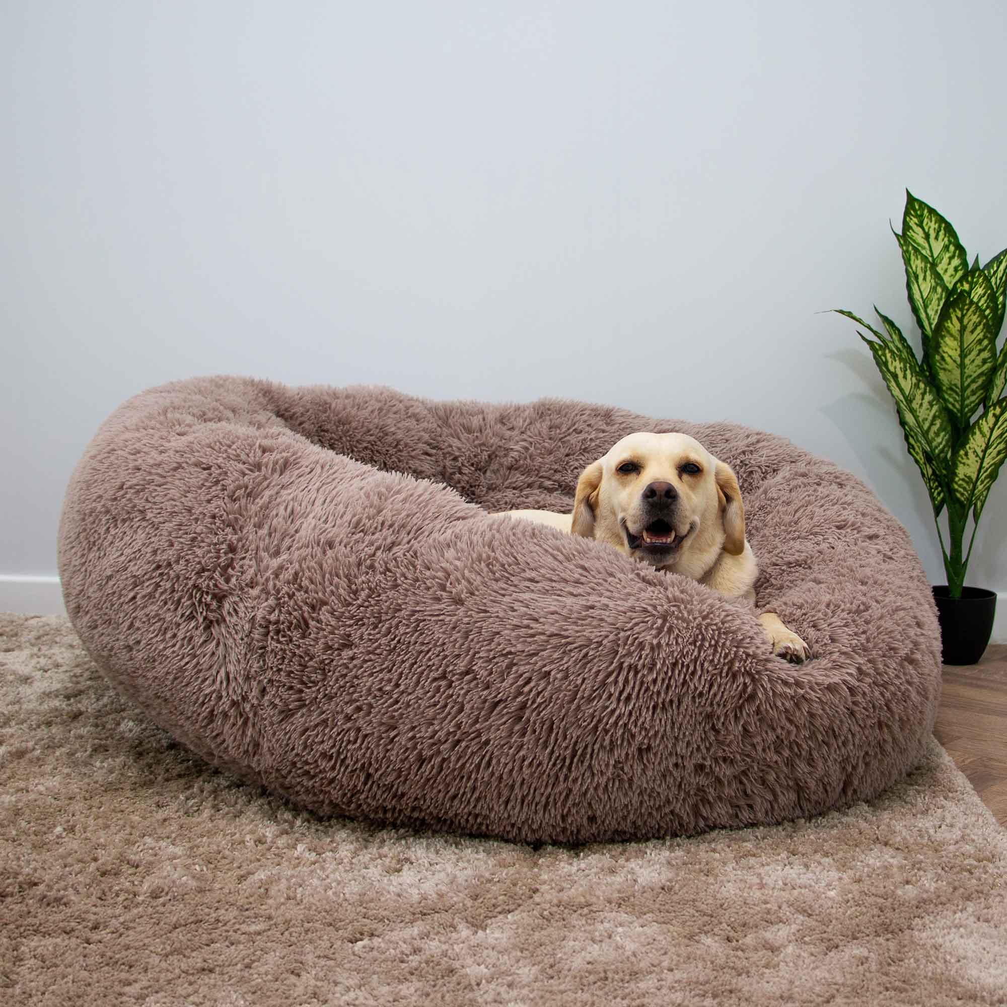 Ancol Pet Products Ltd – wholesale Husdjursbädd – Hund – Jätte Super Plysch Donut Hundbädd 130 cm Havregryn2