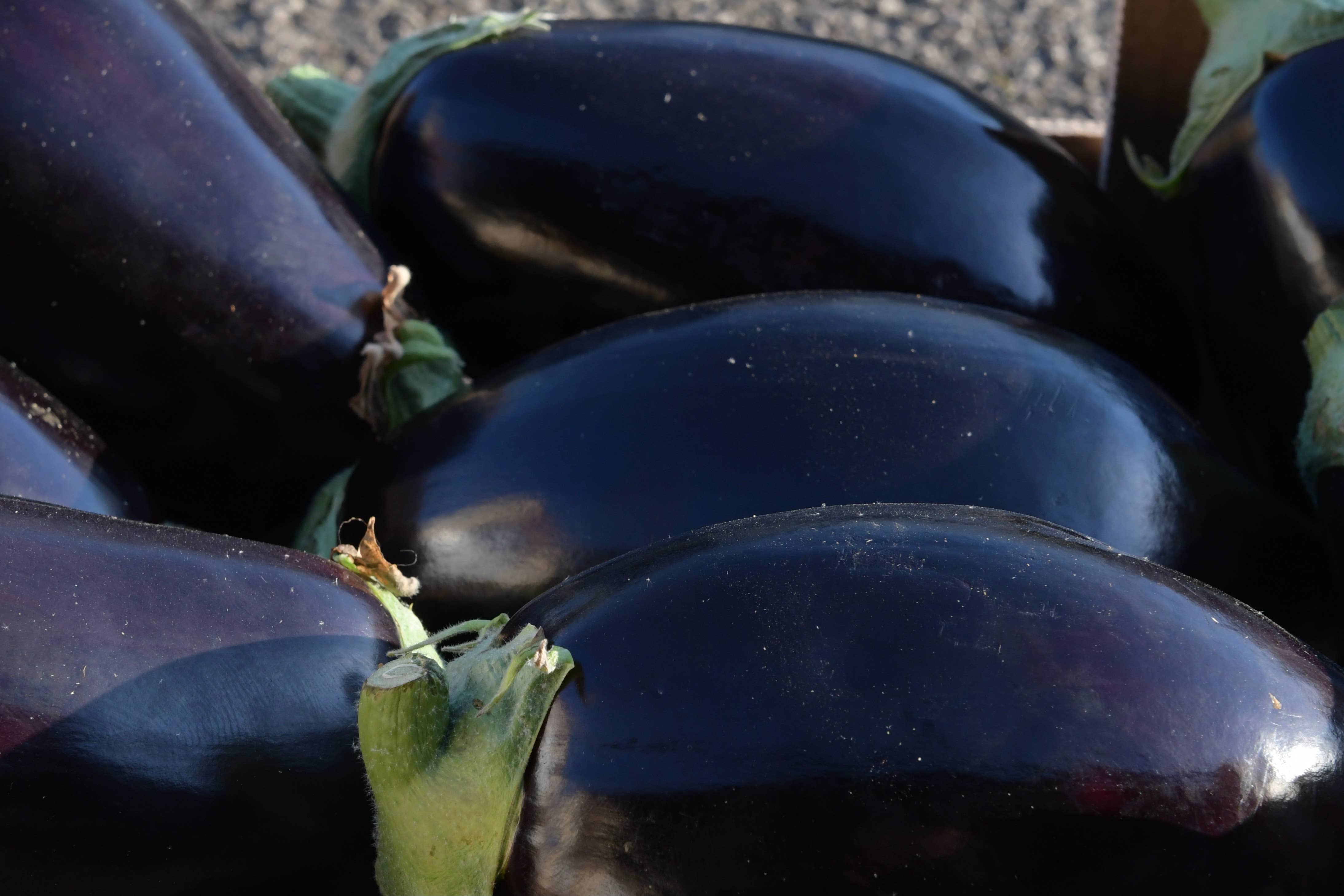 almasicily - Wholesale Sauce - Sicilian Aubergine Caponata With Almonds Vase 240g8