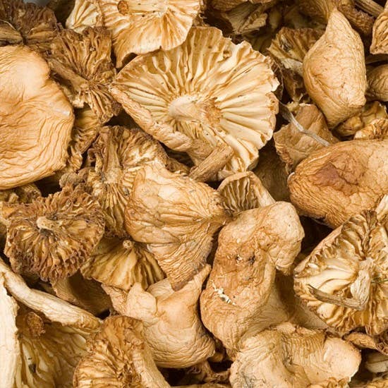 Gourmandise – Engroshandel Tørrede/dehydrerede grøntsager – Svampedehydreret Mousserons marasmius oreades Sabarot 30g2