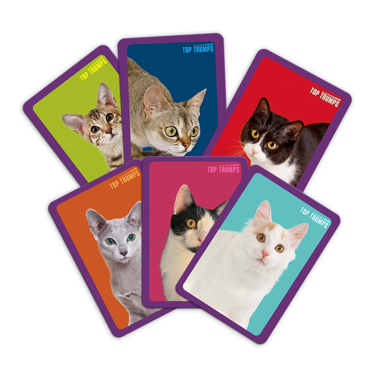 Top Trumps USA, Inc. - Wholesale Card Game - Cats Top Trumps Match - The Crazy Cube Game3