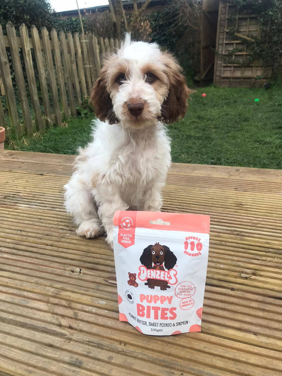 Denzel's - Healthy Dog Treats - Wholesale Pet Treats - Dog - Puppy Salmon & Peanut Butter Training Bites  (10)7