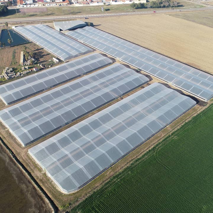 La Vendita – wholesale Wellness juice/tonic – Organic Aloe Vera Juice without Pulp 500 ml2