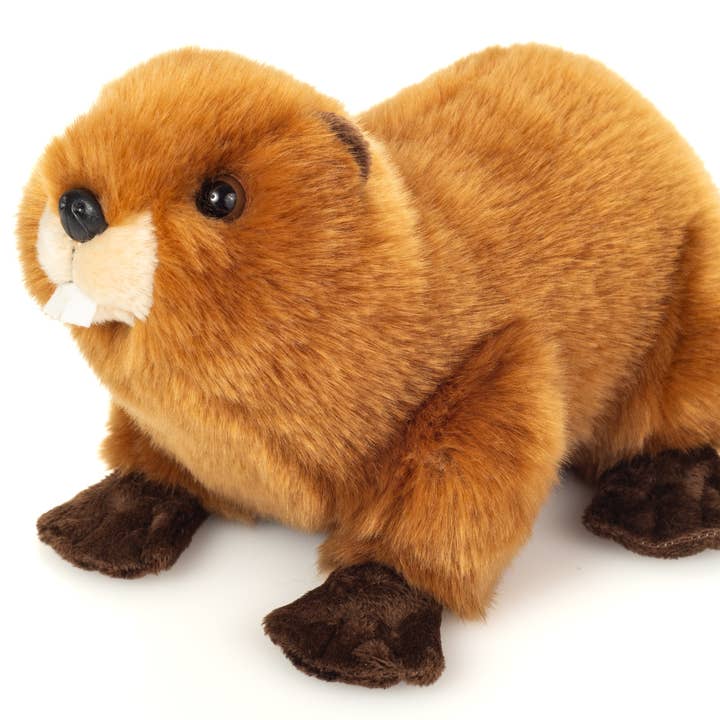 Beaver 28 cm - Plush Toy - Stuffed Animal and other Purchase Wholesale beaver plush. Free Returns & Net 60 Terms on Faire trending on Faire.