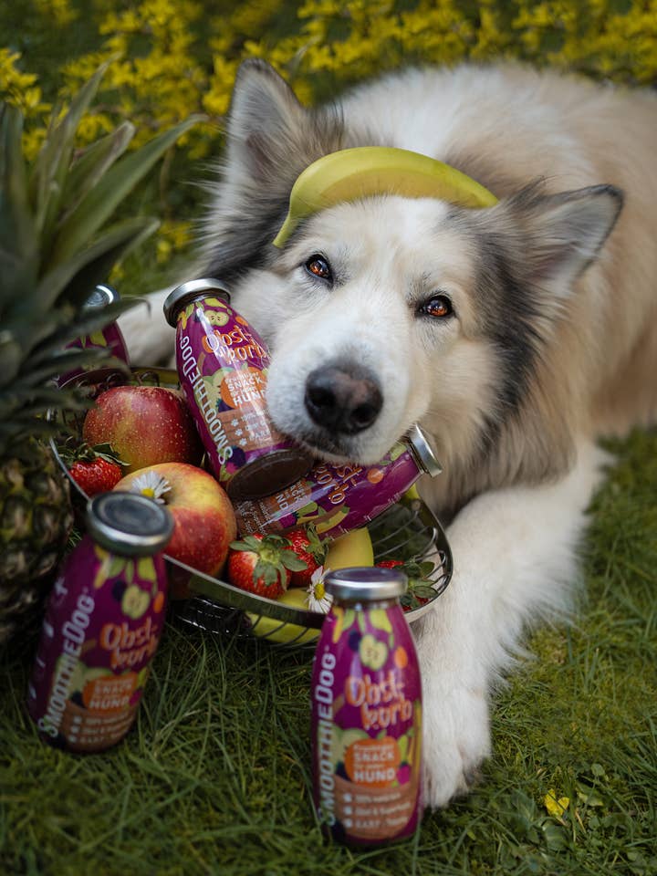 SmoothieDog Fruit Basket - Snack Naturale per Cani Senza Zucchero per la vendita all'ingrosso da parte di SmoothieDog