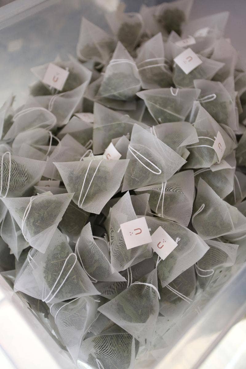 Plūkt - Wholesale Tea Bags - Tea bags BULK PACKAGES // biodegradable, herbal, zerowaste9