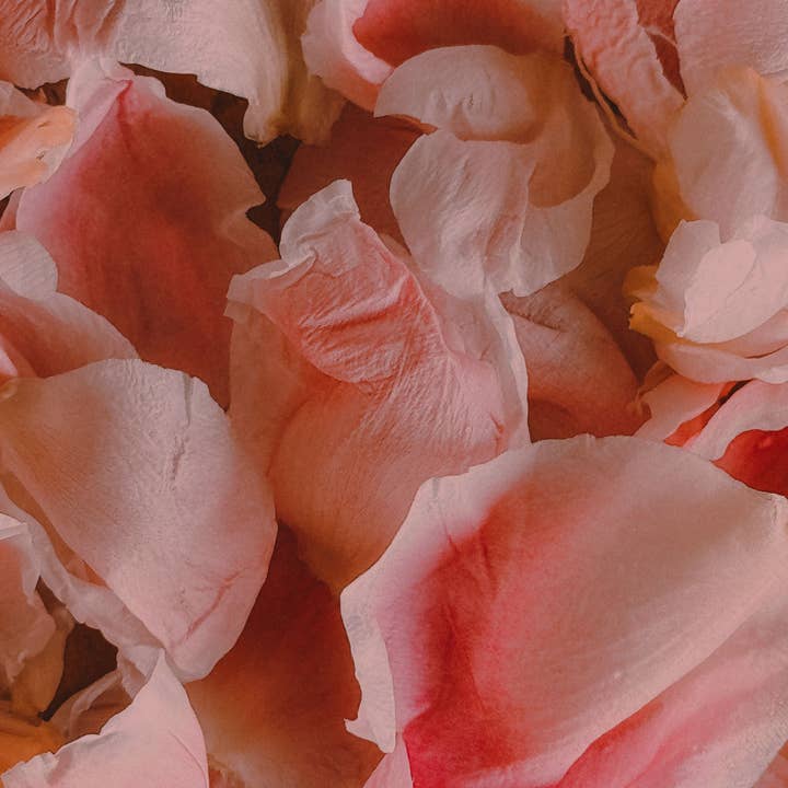 LaB.OTANICA - Wholesale Face & Body Mist/Water - Clear-voyant Rose1