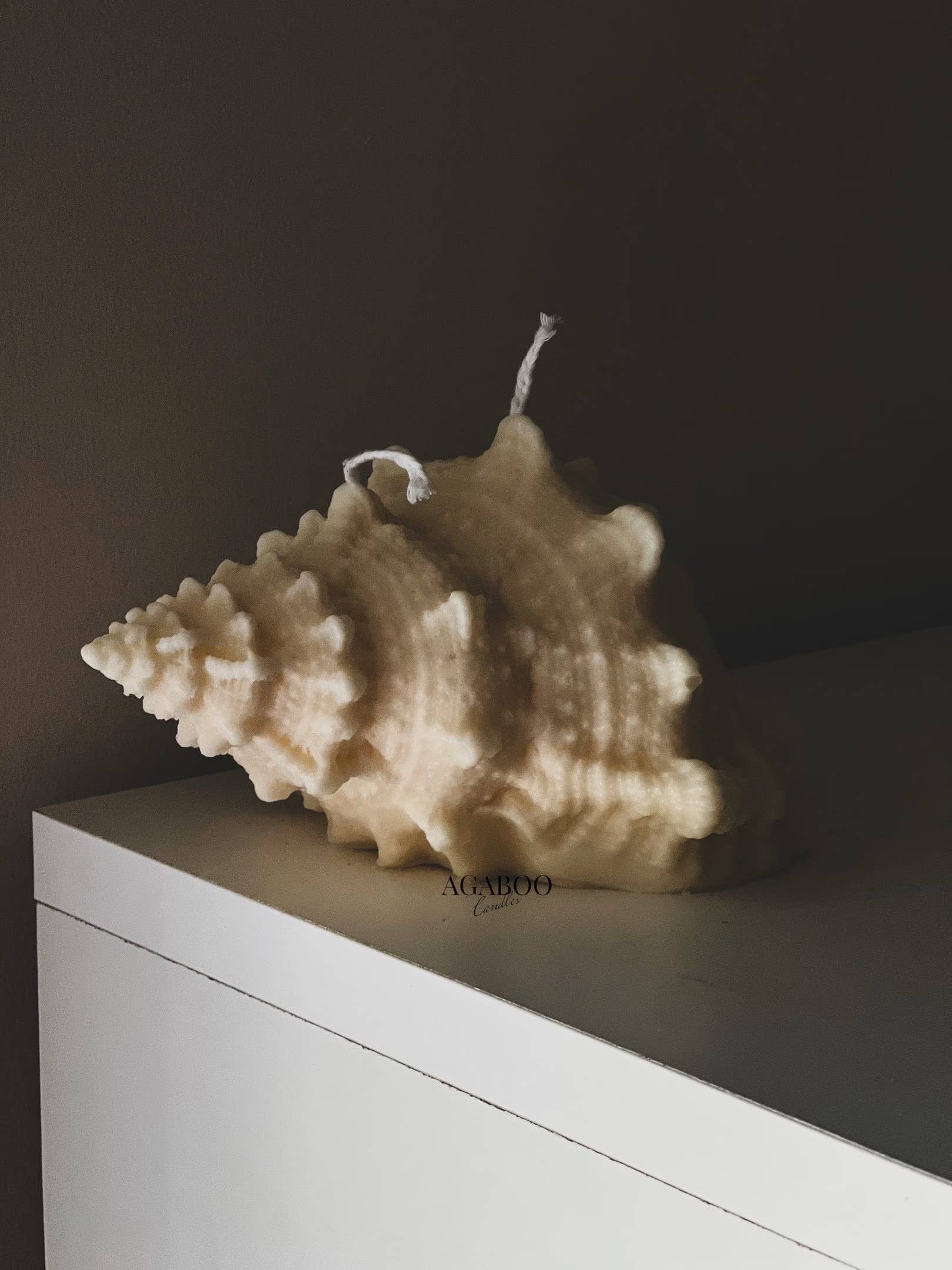 Agaboo Candle – Großhandel Geschenkkerze – Riesige natürliche Muschelkerze 4x7x5in0