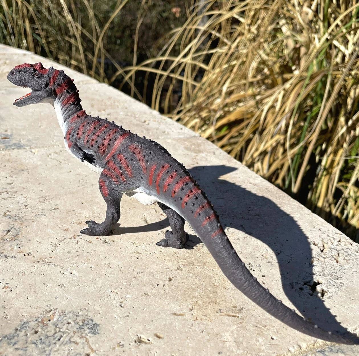 Safari Ltd. - Wholesale Figurine Toy - Kids - Majungasaurus4
