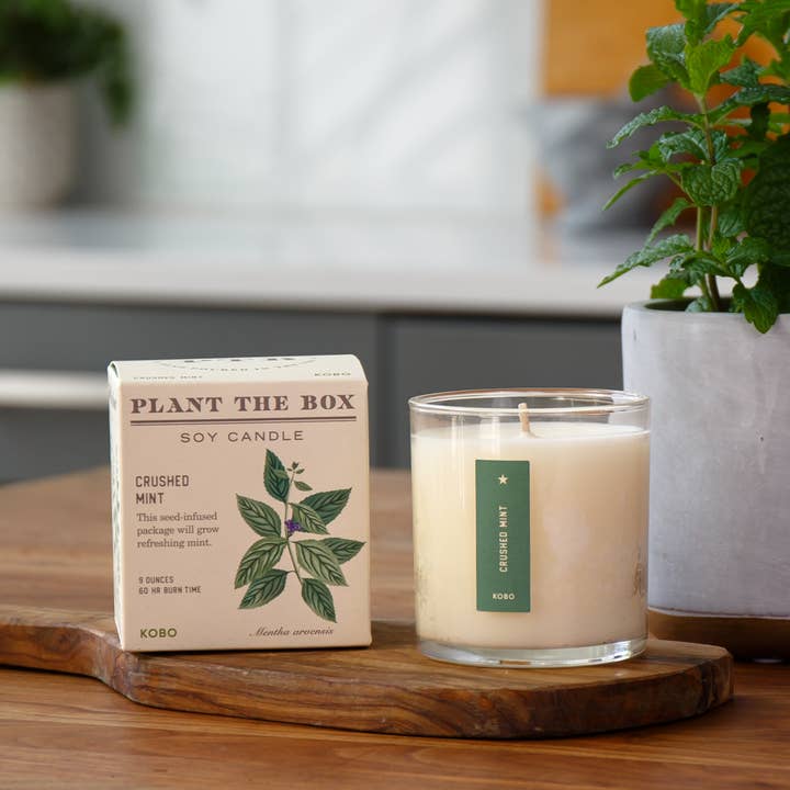 KOBO - Wholesale Jar/Filled Candle - Crushed Mint - Plant the Box Candle - 9oz.3