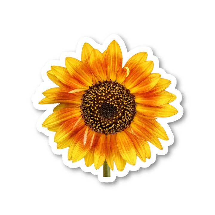 FunPopStickers - Wholesale Sticker - Sunflower Yellow Flowers Laptop Stickers Phone Stickers 3 Pack - Set of 2.5, 3 and 4 Inch Vinyl Laptop Stickers - Laptop Stickers Phone Stickers for Laptop, Phone, Water Bottle, Car & More Decal (3 Pack)