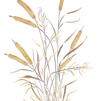 Cattails Wall Stencil for wholesale by Designer Stencils
