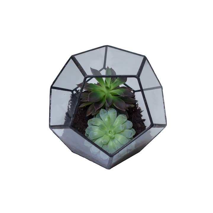Mi-Bambino London – Engroshandel Terrarium – Kærlighed er kærlighed - Glas Geometrisk Saftige Plante Terrarium