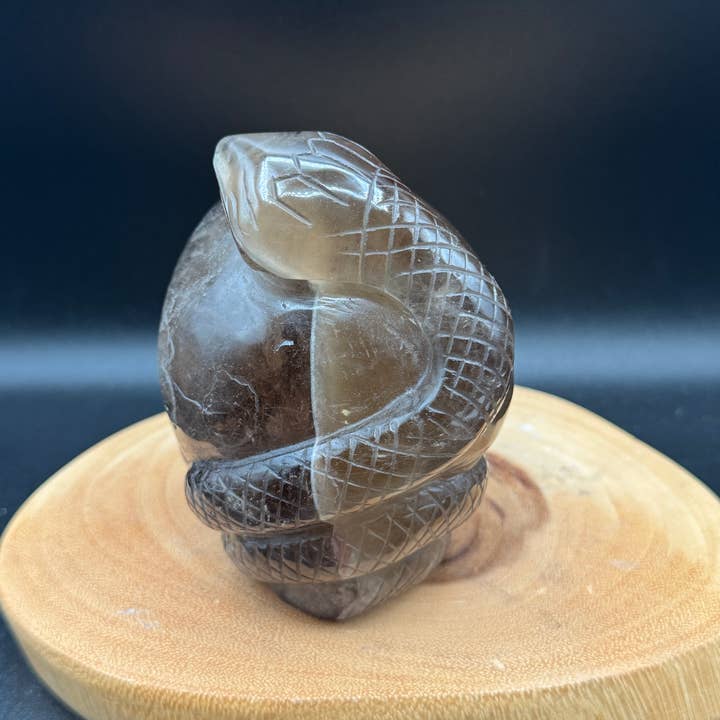 The 7 Directions - Wholesale Spiritual Stone/Crystal - 3.9 lb Unique Smoky skull w/ snake carving H364