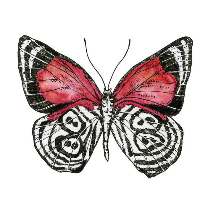 Lámina artística Cramers 88 Butterfly Giclée para venta al por mayor de Sarah Rose