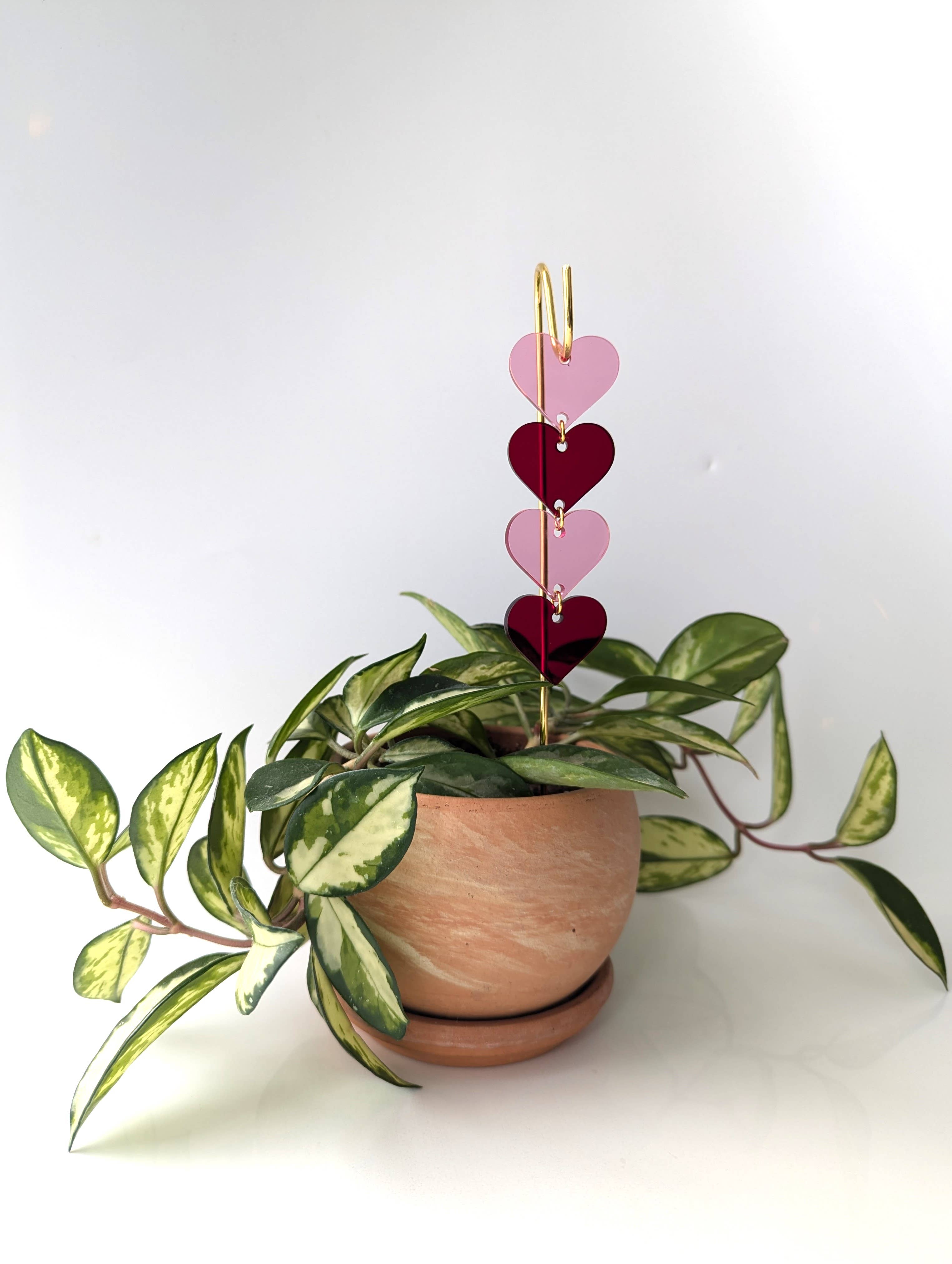Savvie Studio - Wholesale Plant Pot - Plant Pick: Pink & Red Hearts1