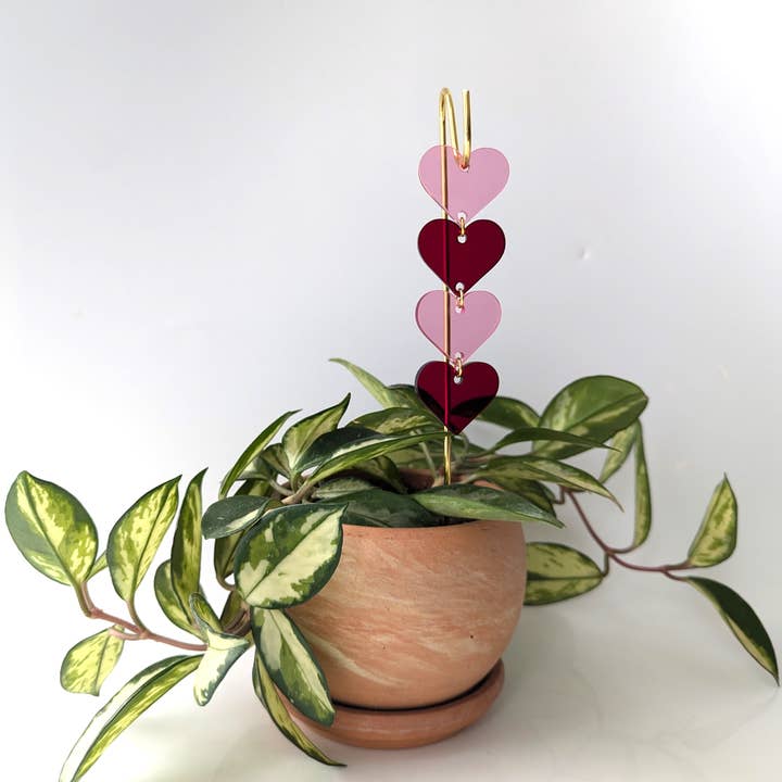 Savvie Studio - Wholesale Plant pot - Plant Pick: Pink & Red Hearts1