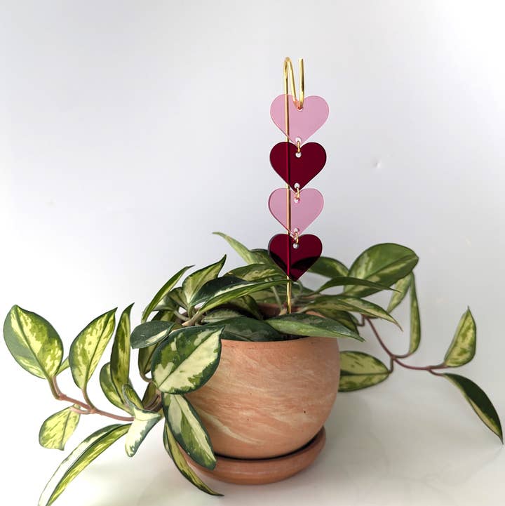 Savvie Studio - Wholesale Plant Pot - Plant Pick: Pink & Red Hearts1