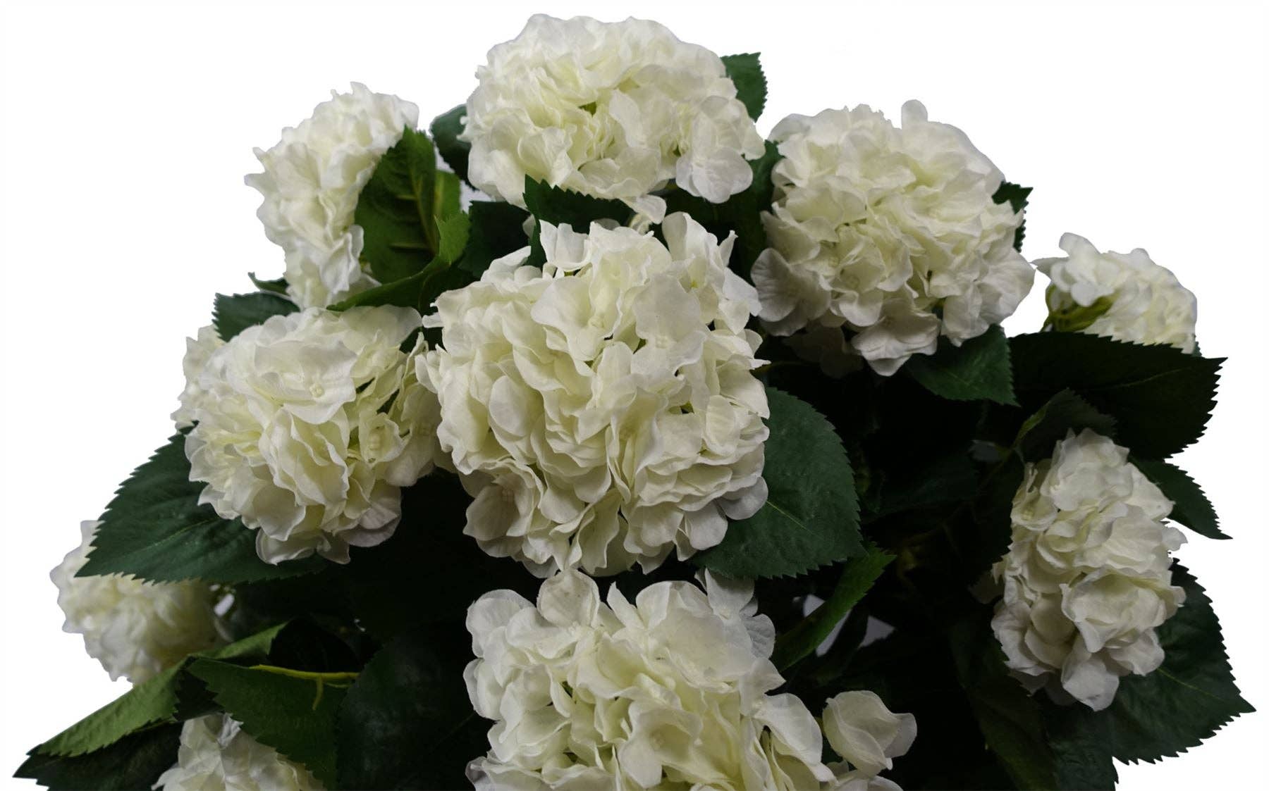 Leaf Design UK LTD - Wholesale Artificial flowers - Artificial White Hydrangea Plant Potted 70cm Bush Botanik2