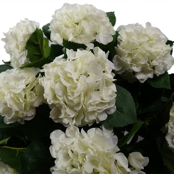 Leaf Design UK LTD - Wholesale Artificial flowers - Artificial White Hydrangea Plant Potted 70cm Bush Botanik2