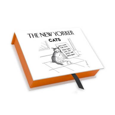 KATTEN - 4 STUKS/5 ONTWERPEN NY'ER IN DOOS NOTITIEKAARTEN voor wholesale door Nelson Line