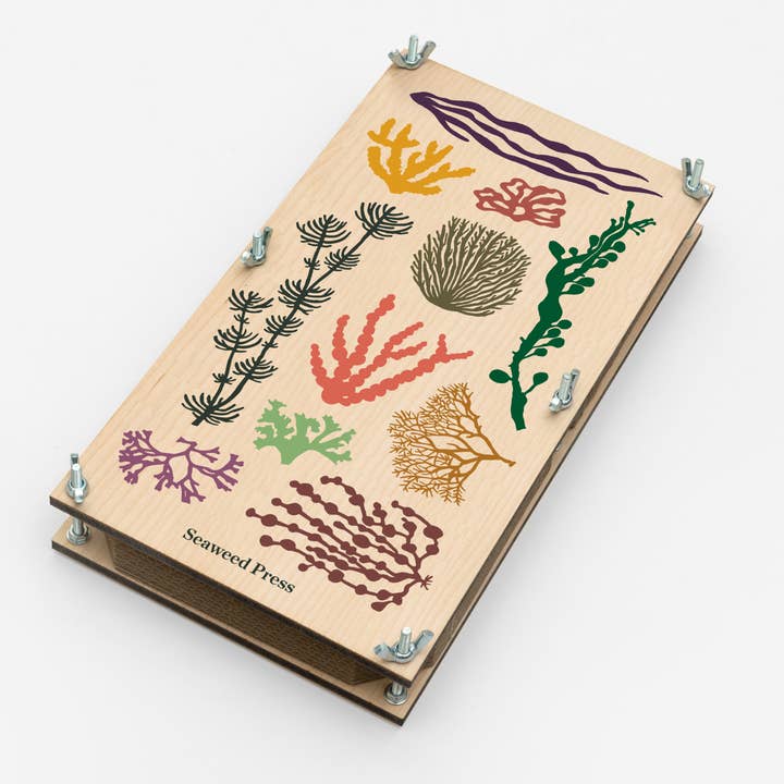 Large Seaweed Press for wholesale by Studio Wald - UK Made