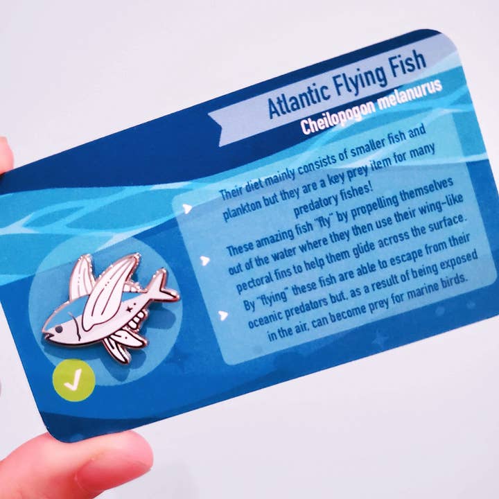 Informative Pin: Atlantic Flying Fish for wholesale by Umvvelt LLC