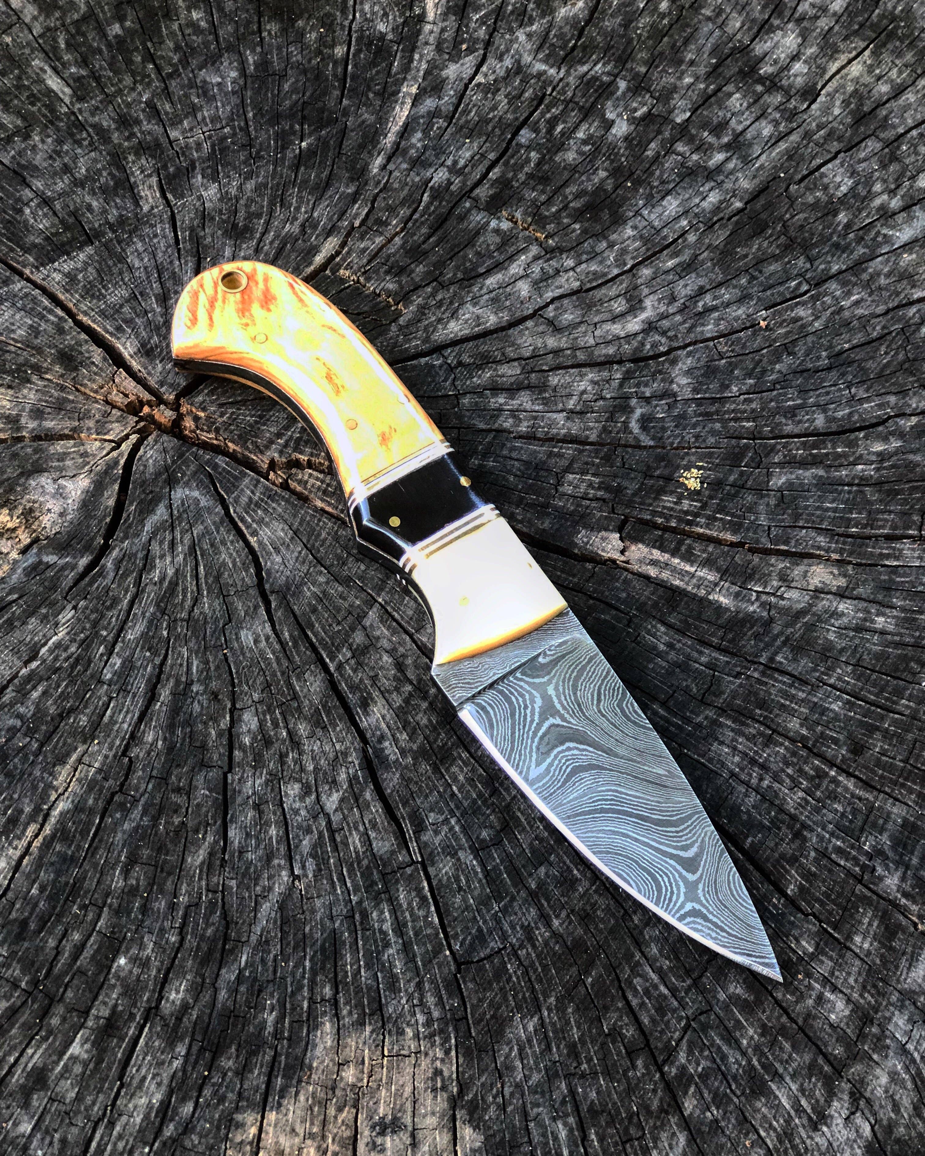 Vintage Gentlemen - Vendita all'ingrosso Coltellino tascabile/portacoltellino - Skinner in legno di ulivo e ossa3