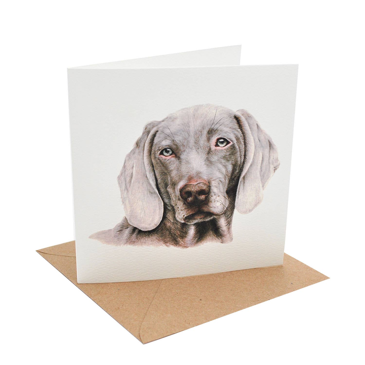 JVH creative Fine Art - Wholesale Everyday Greeting Card - Weimeraner Dog | Greetings Card | All Occasions0