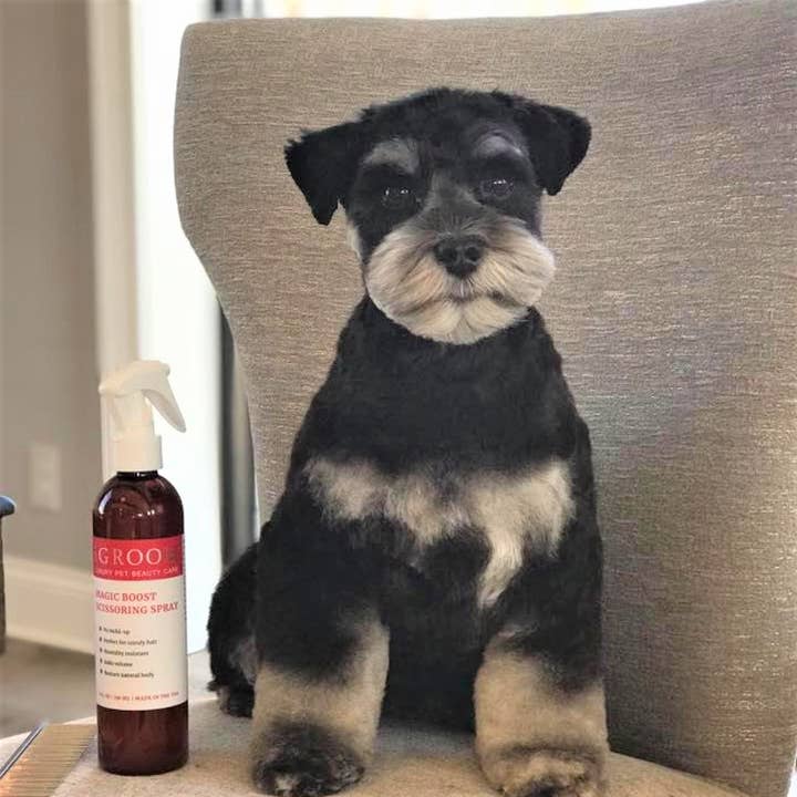 iGroom - Wholesale Pet Spray - Dog - Magic Boost Scissoring Spray 8oz