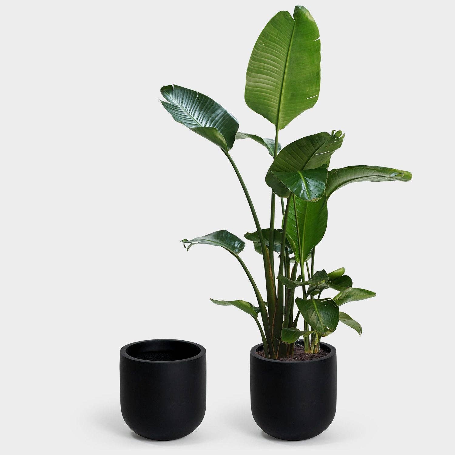 Greenery Unlimited - Vente Pot - Grande jardinière Wythe 304