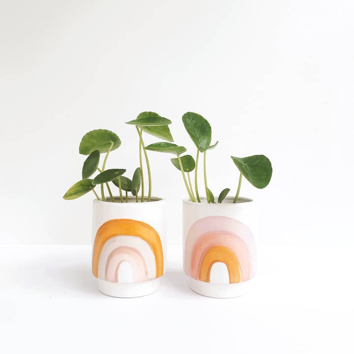 Luna Reece Ceramics - Wholesale Plant Pot - Rainbow Pots4