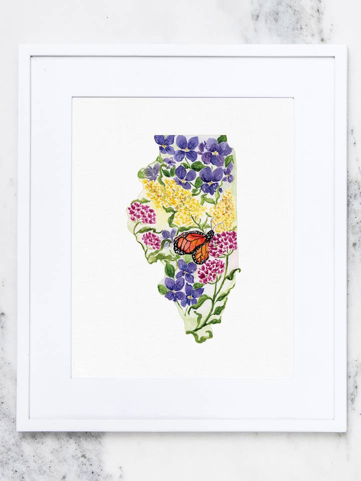 Illinois State Flowers Fin Art Print for wholesale by Crissie Vitale Creative