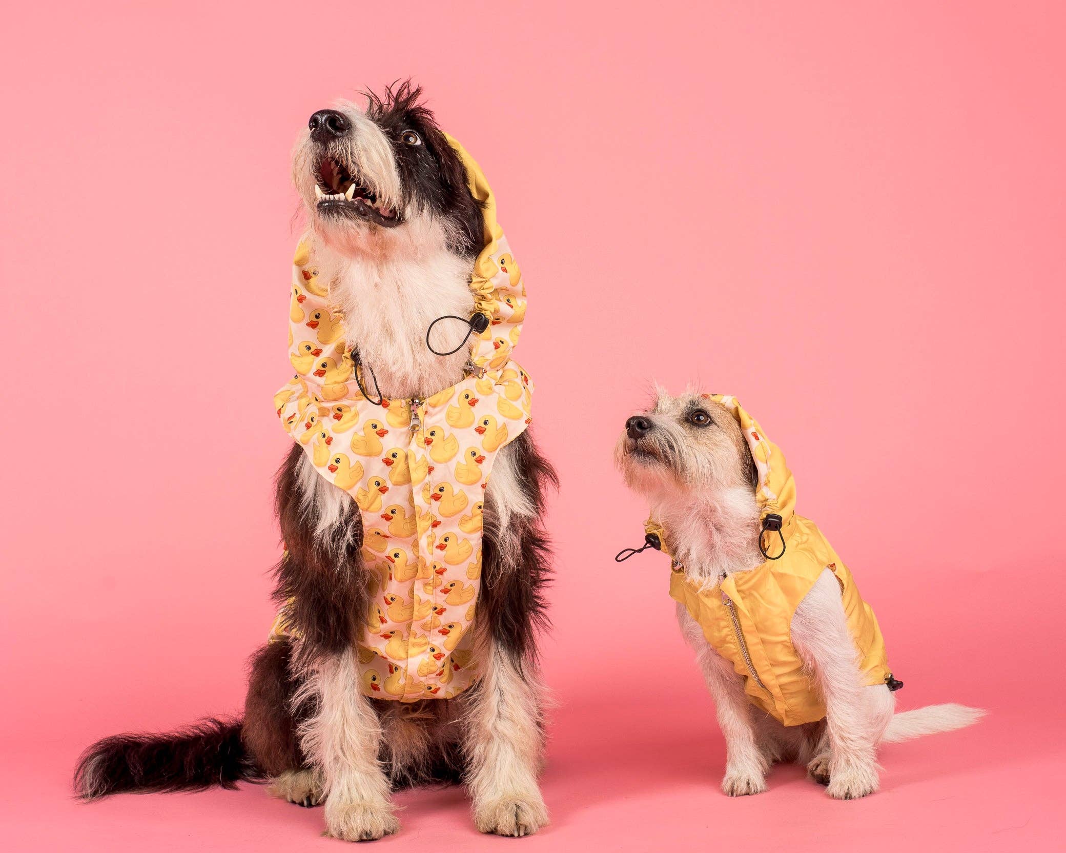 Pablo & Co. Boutique - Wholesale Pet raincoat – Dog - Rubber Ducky Reversible Raincoat