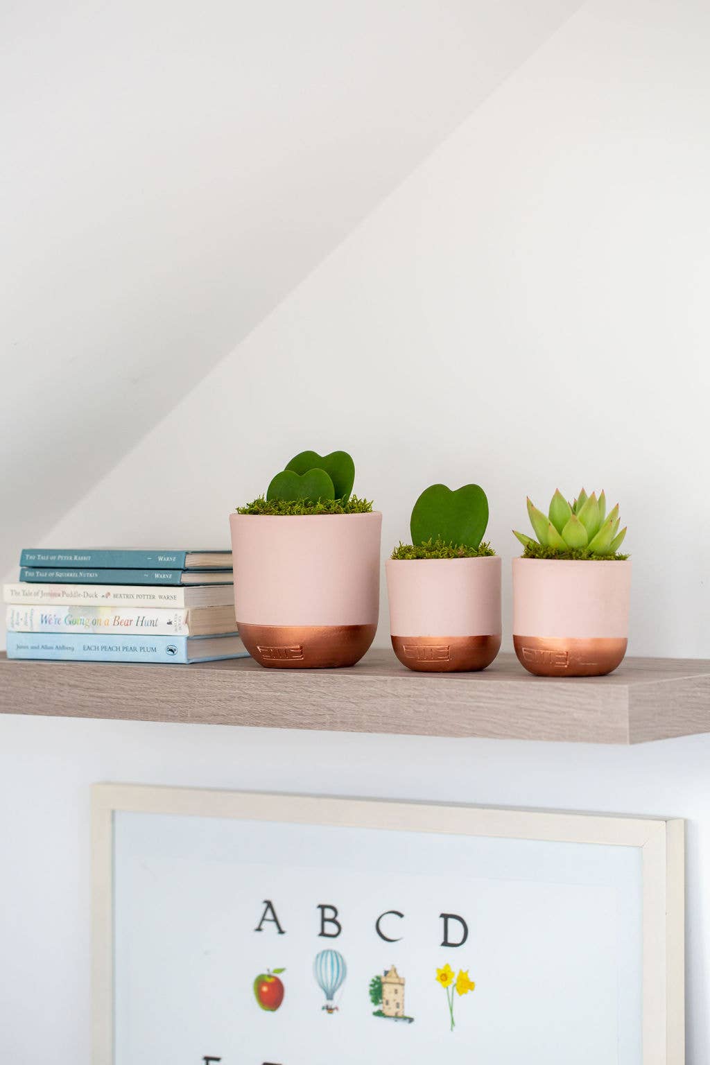 The Little Botanical – wholesale Succulent – Hoya Kerrii (Double Heart) 💚💚16