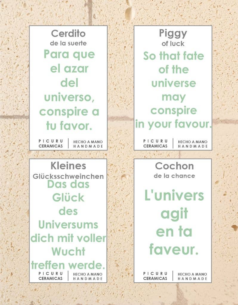 Picuru ceramicas - Wholesale Decorative Figurine - Lucky Pig Amulet (5 languages)4