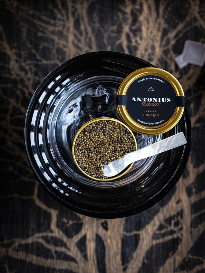 Antonius Caviar: Siberian 5 stars 125g for wholesale by Antonius Caviar