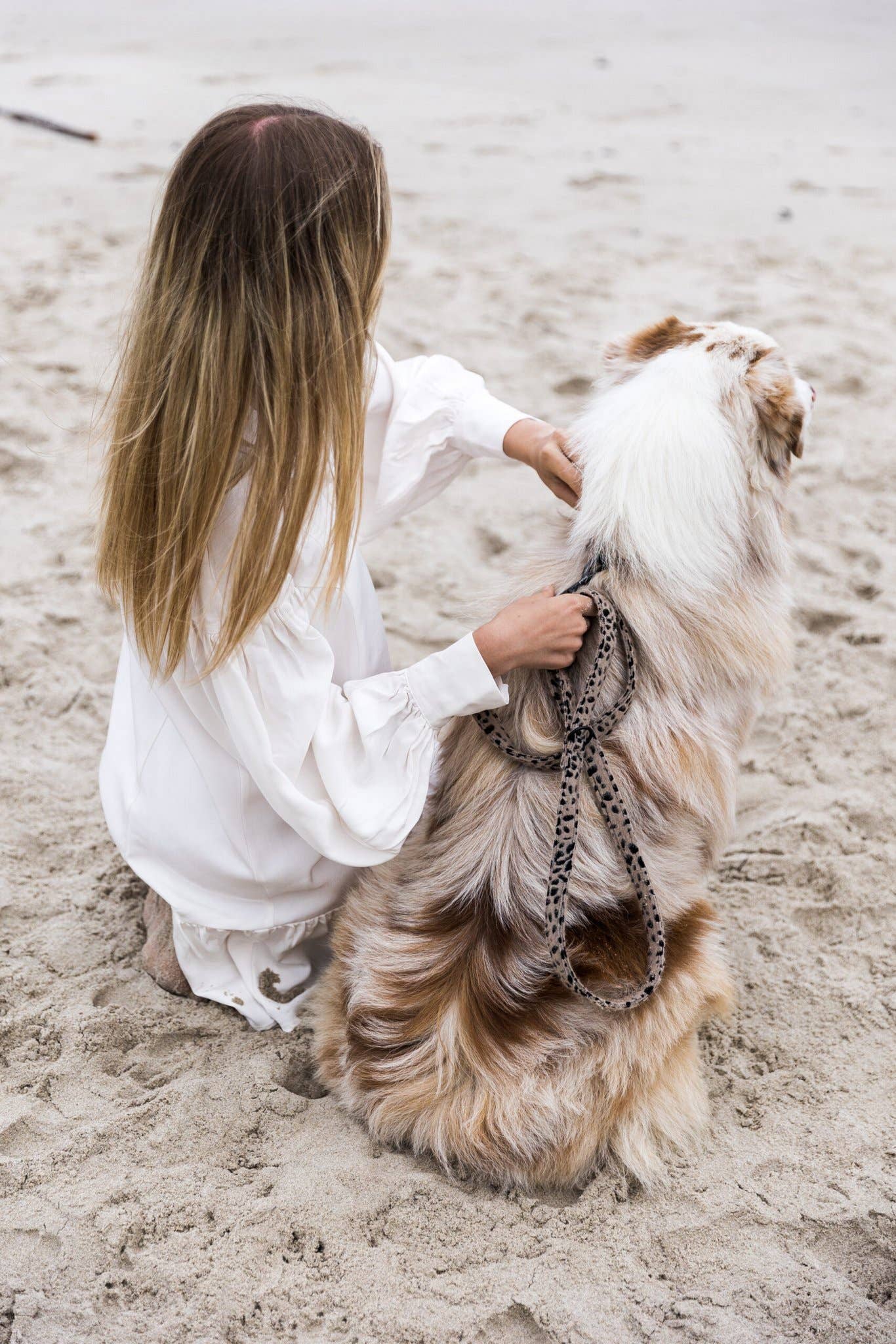 Studio Proud - Wholesale Pet Leash - Dog - Dog Leash Cheetah3